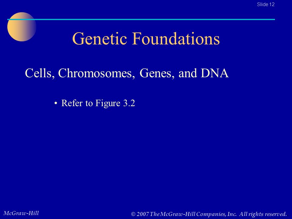The Foundations of Genetics